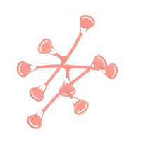 Snappi Original Windelklammern by XKKO - Peach (3pack)